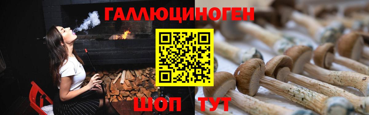Галлюциногенные грибы прущие грибы  Галлюциногенные грибы прущие грибы  Вход с VPN  Глазов 